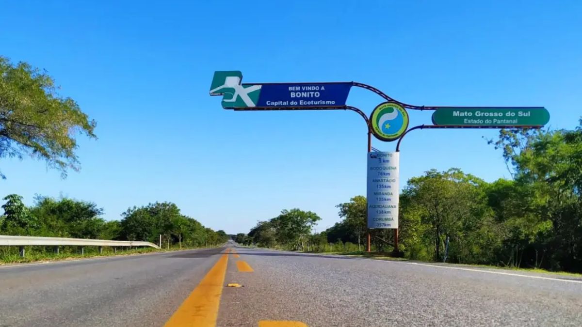 placas ambientais pantanal portugues roteiros do paxixi