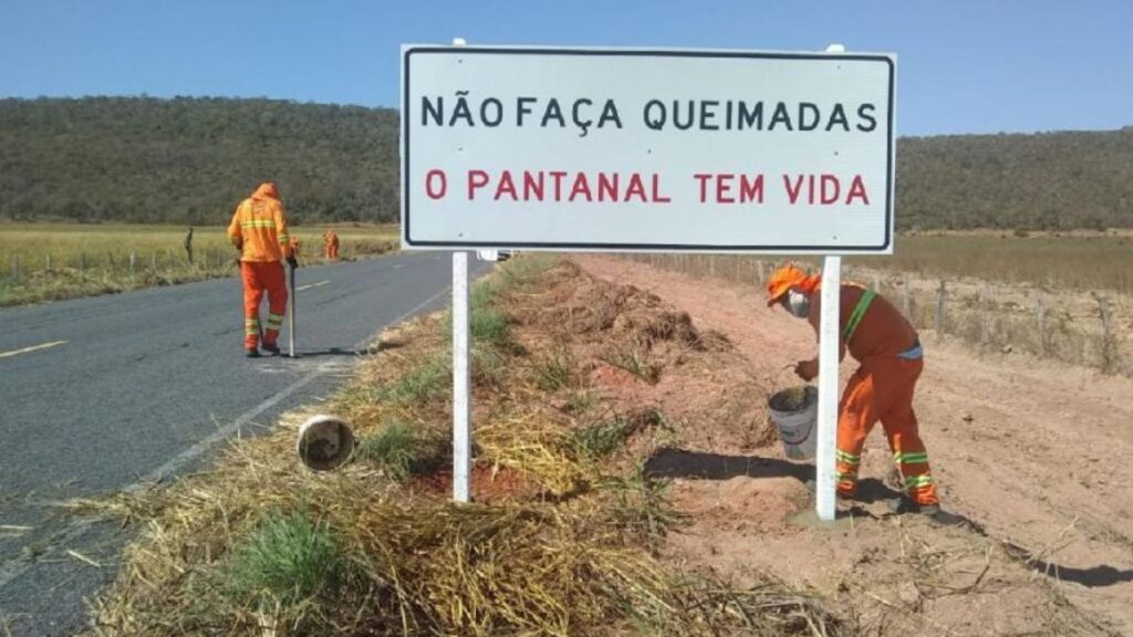 Como interpretar placas e informações ambientais no Pantanal — com dicas de português 2 placas ambientais pantanal portugues roteiros do paxixi
