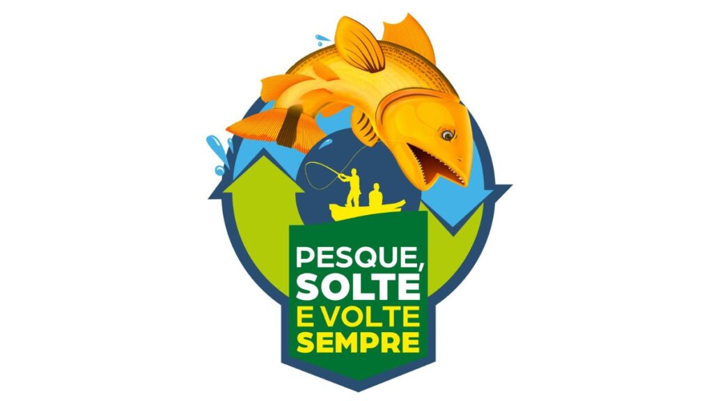 Como interpretar placas e informações ambientais no Pantanal — com dicas de português 1 placas ambientais pantanal portugues roteiros do paxixi